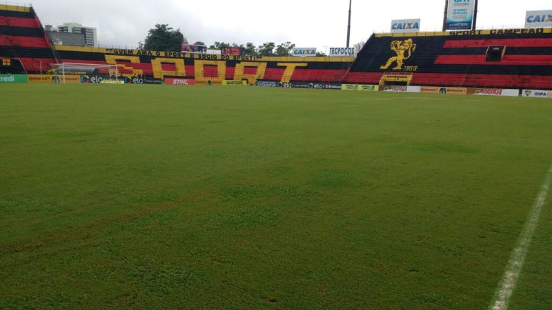 Estádio Ilha do Retiro Gramado